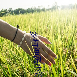 乡村神医小说