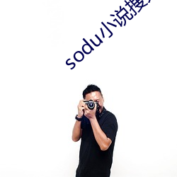 sodu小(小)说搜索(索)