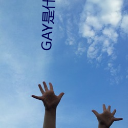 GAY是什么意思