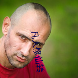 凡人修仙转