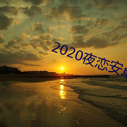 2020夜恋安卓支持