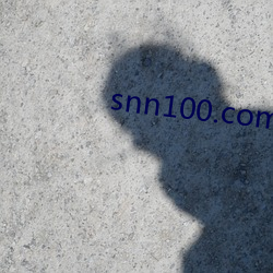 snn100.com