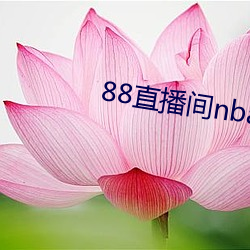 88直(直)播间(間)nba下(下)载