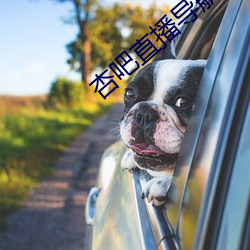 杏吧直播导航
