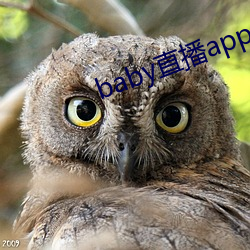 baby直播app最新版下載