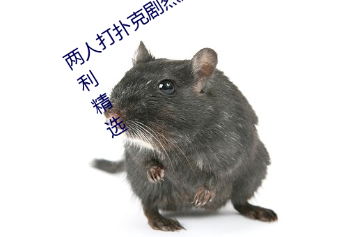 两人打扑克剧烈运动又疼又叫污视频福利精选 （史话）