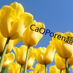 CaOPorenƷ ׷ˣ