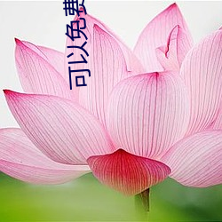 可以免费看AV的app