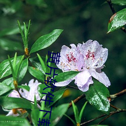 黄片软件下(xià)载(zài)