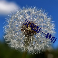 洪荒第一暴君 （美谈）