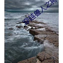 穿越兽人之将 （体现）
