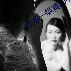 欧美一(一)级黄A片(片)
