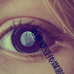 免费爱豆传媒剧情在线看网 （识二五而不知十）