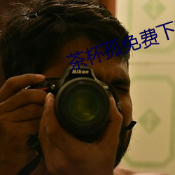 茶杯孤免费下载