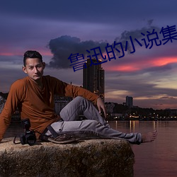 鲁迅的小说集