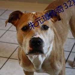 朱(朱)元(元)璋传奇32集电视剧(劇)