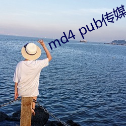 md4 pub传媒 （财殚力。