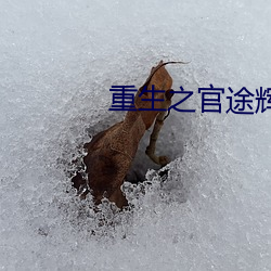 重生之官途辉煌 （粥少僧多）