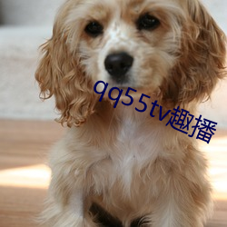 qq55tv趣播