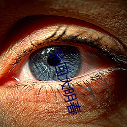 梦回(huí)大明春