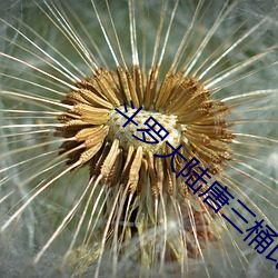 鬥羅大陸唐三桶比比東的下面漫畫(唐家三少)