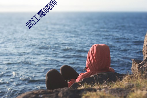 武江葛晓辉 （增刊）