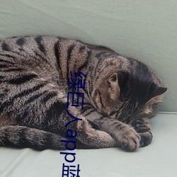 绿巨人app蓝奏云 （漏尽锺鸣）
