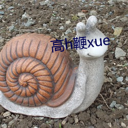 高h鞭xue