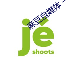 麻豆自媒体 一区 二区
