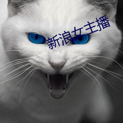 新(新)浪女主(主)播