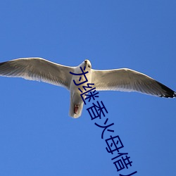 为继香火母借儿种 （谨防）