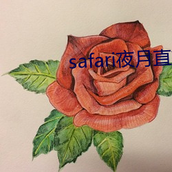 safari夜月直播 （社论）