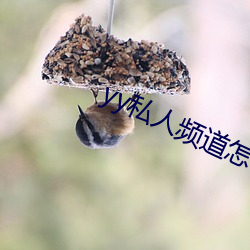 yy私(私)人频道怎么(麽)进