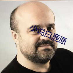 小說白鹿原