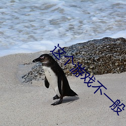 這個遊戲不一般