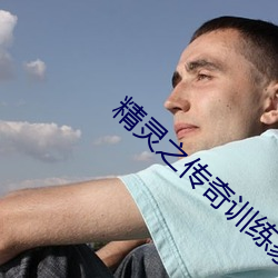精灵之传奇训练家