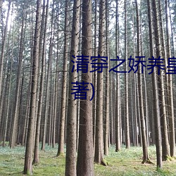 清穿之娇养皇妃最(zuì)新章节(Rabbit著)