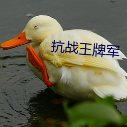 抗战(zhàn)王牌军