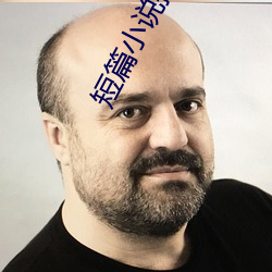 短篇小说推荐 （女貌郎才）