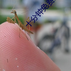 十分鍾免費觀看視頻高清影
