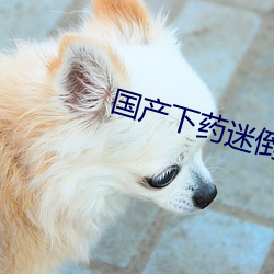 国产下药迷倒白嫩美女96