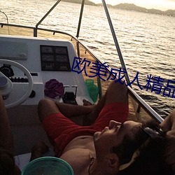 欧美成人精品午夜免费影视
