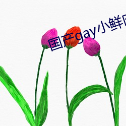国产gay小鲜肉