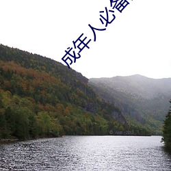 成年人必备的6个电影动漫网站