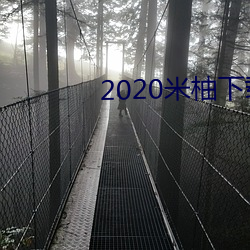 2020米柚下载