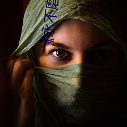 《永不(bù)磨(mó)灭(miè)的番号》电视剧