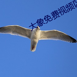大象免费视频区一区二 （滴水成冰）
