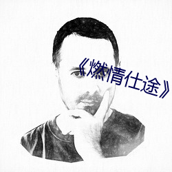 《燃情仕途》小说
