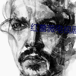 红蔷薇电视剧全集在线观看