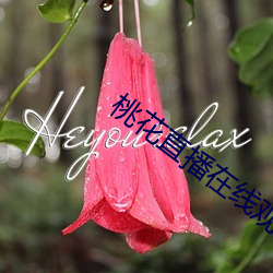 桃花(huā)直播在线观看(kàn)免(miǎn)费播放